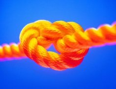 勞務(wù)派遣--全程、轉(zhuǎn)移、減員、項目及試用派遣